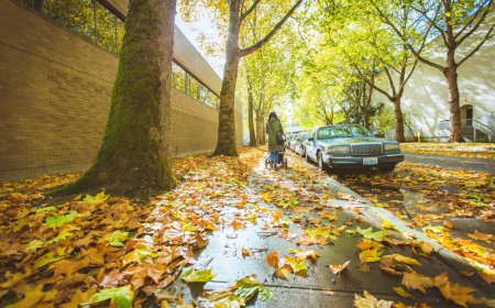 artisanコマンドの使い方（Laravel）